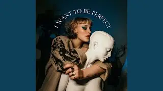 I Want To Be Perfect