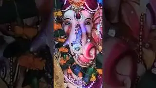 গনেশপূজা 🙏 गणेश पूजा 2024 💓 #shortsfeed #shortsvideo #trending #viral #newdelhi #india #shorts