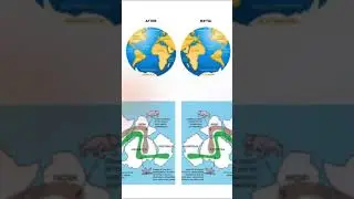 Tectonic Plate 