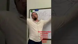 Ценности, Убеждения, Психология отношений 