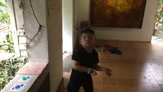 Tranh & Cá