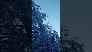 2 января 2024 г.