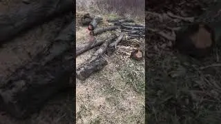Firewood- Trying New Mingo Firewood Marker