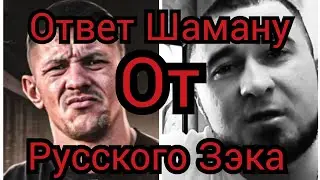 Лебедь и Шаман, мышинный поступок, ответ из России