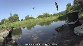 Перекати поле - неудачная рыбалка из-за жары
