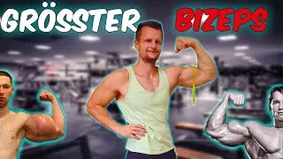 Wie groß kann ein Bizeps wirklich werden?