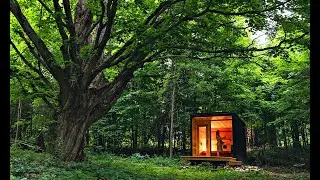 10 Fantastic Fall Fragrances For Outdoors (2024)