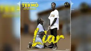 Liar By Tekmo(Official Music Audio)
