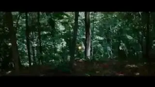 The Hunger Games - scène feu dans la forêt.