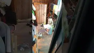Зависимость в семье/Семья Фетистовых