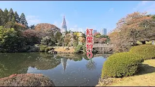 Japan Autumn 2024 - Day 4 (Tokyo)