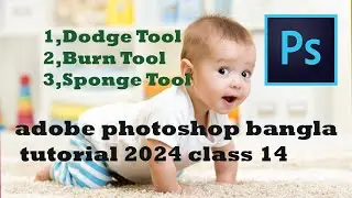 adobe photoshop bangla tutorial 2024 Dodge Tool & Burn Tool and Sponge Tool class 14