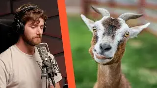 Linus's pet goat story