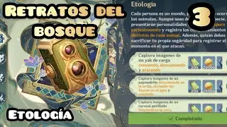 RETRATOS DEL BOSQUE (3) | Etología | Sumeru | Inocencia escultórica