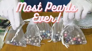 Most Pearls Ever! (Reveals 17290 & 17329 - 17342)