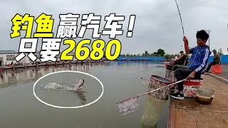 Xiaohui pays a bloodbath for 2680 to enter the fishing market and catch the most expensive fish