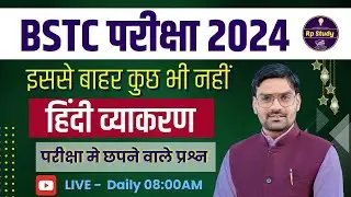 Bstc online Classes 2024 | Hindi Bstc Marathon Class 2024 हिंदी व्याकरण | Important Questions HINDI