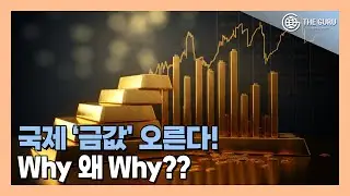 '美 연준 기준금리 인하 기대' 헤지펀드 금 매수 포지션, 4년 만 최고치 기록