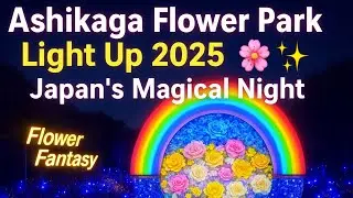 Ashikaga Flower Park Light Up 2025 🌸✨ | Japan’s Magical Night