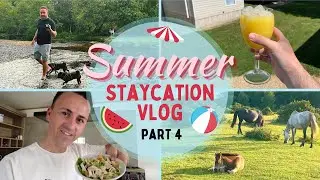 HOBURNE BASHLEY SUMMER STAYCATION - COCKTAILS & NEW FOREST PONIES