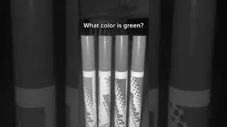 Which color is GREEN? #intuitiontest #intuition #dogdance #dogsdancing #dogdancingvideo #trend