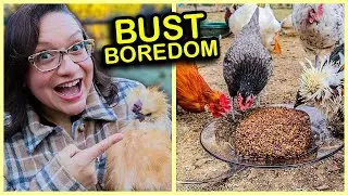 EASY Homemade “Flock Block” for Chickens!