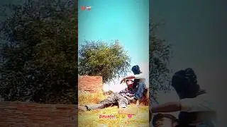 Pyar Kekaro se Na Kariha 🌻🥀🌹❤️‍🩹 | 
