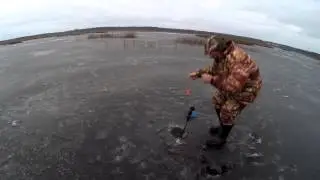 Щука на жерлицы 2014г