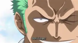 Roronoa Zoro mini amv