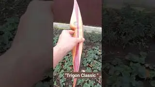 Новый лук готов 🏹💪