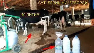 АРЗОНЧИ  ака  МОЛ  йеткиза  ОЛМАЯБДИ😱