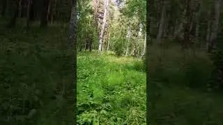 Велопоход