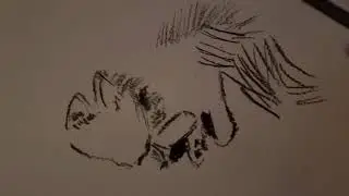 Pomeranian Charcoal Drawing Pt. 2 | Art Studio Practice - Express Yourself, Week 19