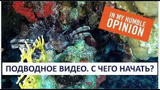 Подводная видеосъёмка.  С чего НАЧАТЬ?