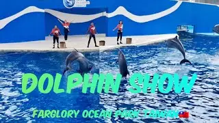 DOLPHIN SHOW FARGLORY OCEAN PARK TAIWAN🇹🇼 Part2