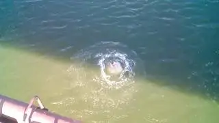 ПРЫЖОК С ВЫСОТЫ!!!
