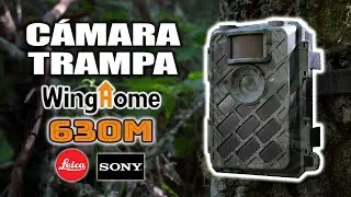 CÁMARA Trampa BARATA - WINGHOME 630M - SONY y LEICA