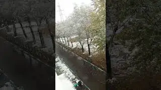 Сентябрьский Снег #shorts
