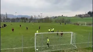 Leonardo assist