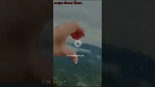 I love free fire 😘😘//free fire lover video ❤️❤️❤️