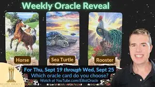 Weekly Oracle Reveal 🔮✨ | Tarot Reading for September 19 to September 25 | Elliot Oracle 🐎 🐢 🐓