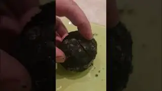 Ах картошка, картошка- в кожуре уголёк.