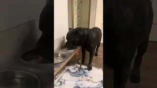 Талисман💙