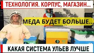 Какая система ульев лучше? Технология корпус + магазин.