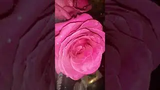 💖Моя благодарность участникам Клуба Благость и друзьям