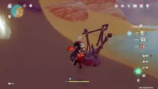 Genshin Impact - Race the turtle for an Exquisite chest (Samudra Coast)