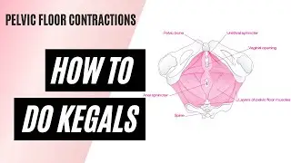 How To Kegal - Pelvic Floor Contraction Lesson