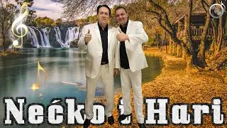 Necko i Hari - U Svicarskoj godinama radim [Uzivo]