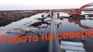 Не лёгкие деньги севера, как они зарабатываются.