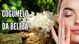 Benefícios do Cogumelo Tremella para uma Pele Jovem e Saudável 🍄✨